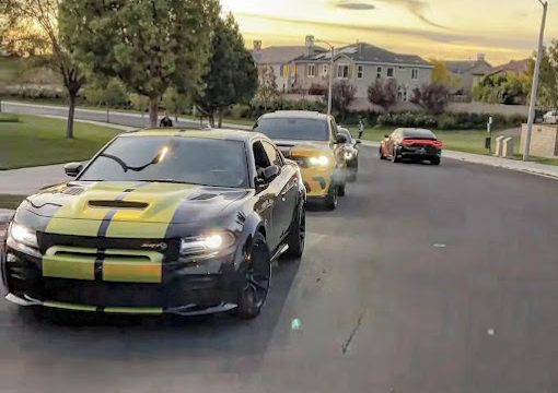 National Auto Shipping 3