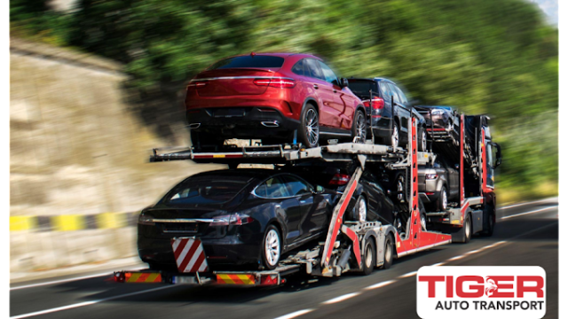 Tiger Auto Transport 1