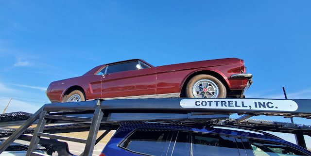 Tiger Auto Transport 3